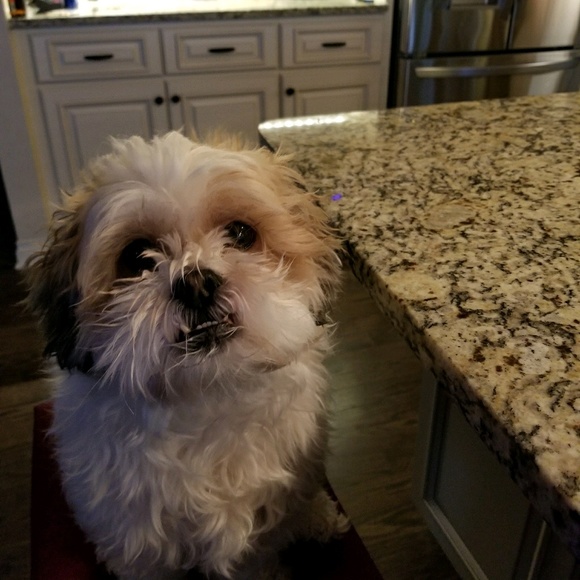 Meet your Posher, Michelle - Picture 1 of 1